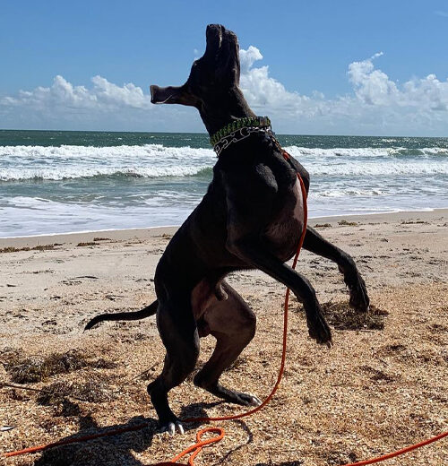 How to Handle the Beach